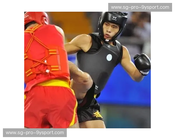 分析泰拳：在拳脚之间读懂力量与文化